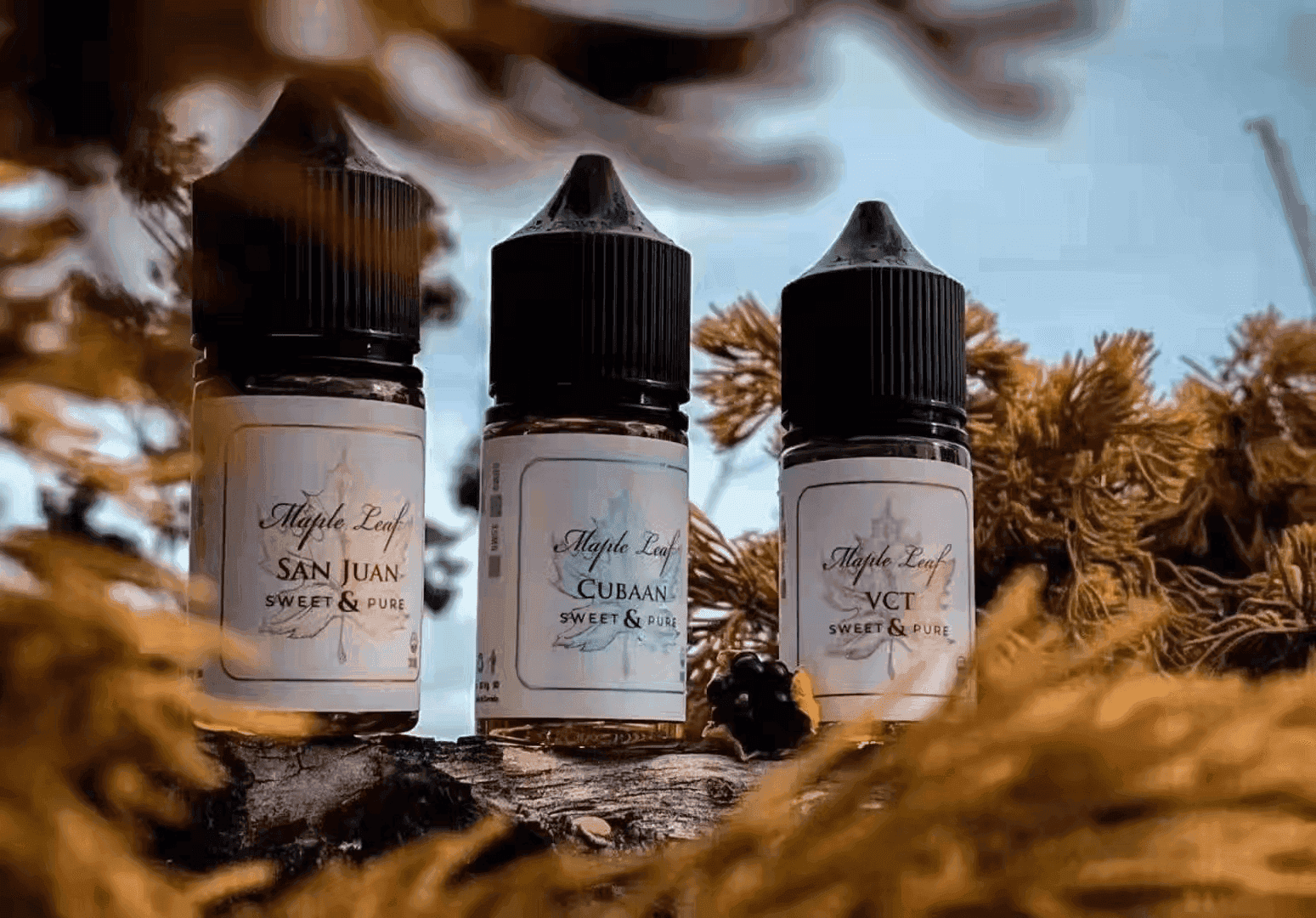 Maple Leaf 楓葉電子菸小煙油 30ML 加拿大原裝進口 - Image 3