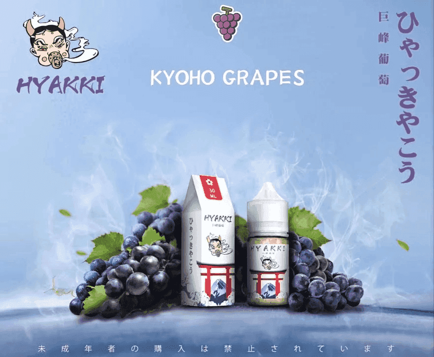 HYAKKI哈亞齊電子煙日系進口小煙油30ML - Image 5